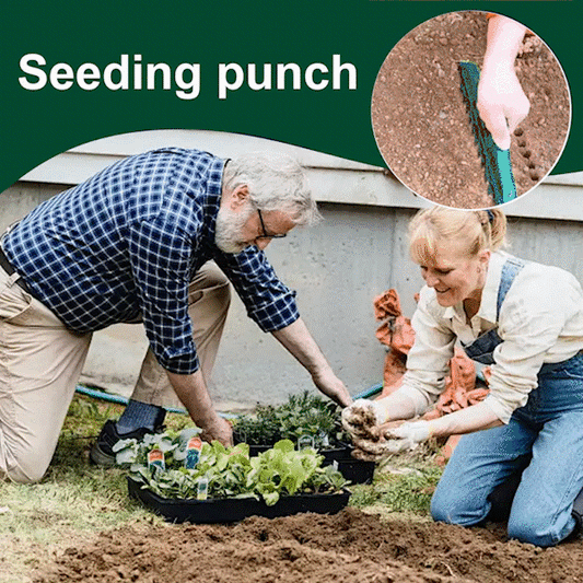 ⏳Begränsad tid 50% rabatt💥🌱Distanshållare och dibbler för trädgårdsfrön - 12-håls precisionsverktyg för plantering